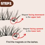 2D Hybrid Style Alashia Magnetic Eyelashes  - No Glue, Reusable & Waterproof