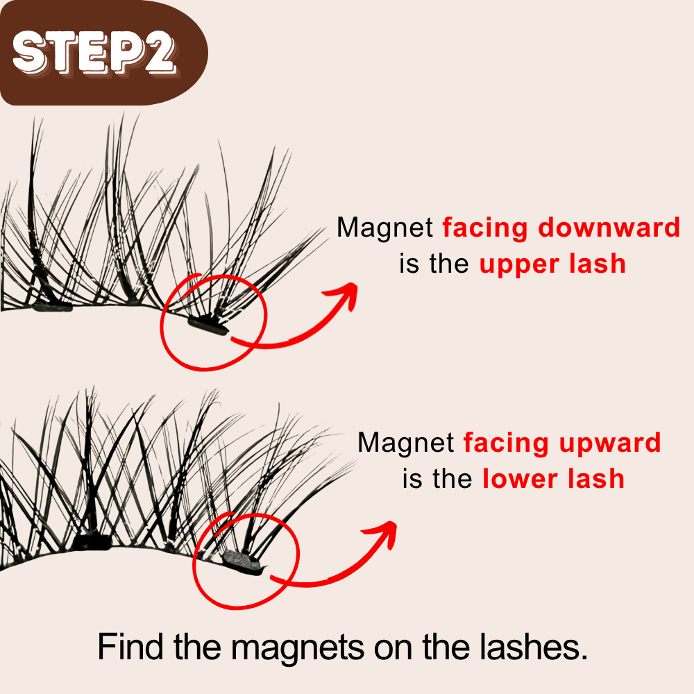 2D Hybrid Style Alashia Magnetic Eyelashes  - No Glue, Reusable & Waterproof