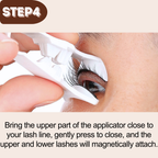 2D Hybrid Style Alashia Magnetic Eyelashes  - No Glue, Reusable & Waterproof